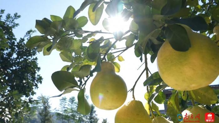 百千万·山海间丨五口人，50年