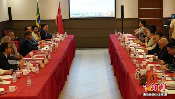 俞岚：讲好还绿于民、造福于民的中国绿色发展故事