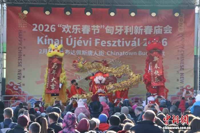 海外逛庙会 解锁热闹年