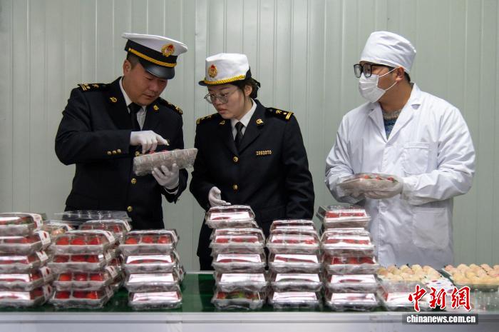 浙江新年首单出口草莓“打飞的”赴新加坡