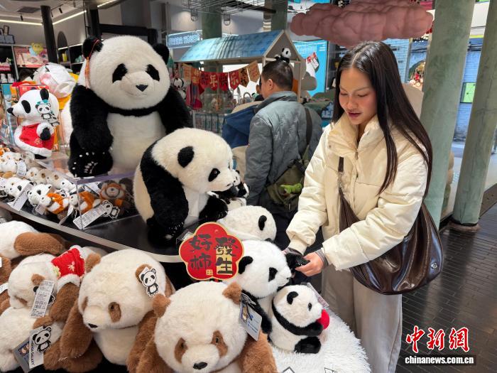 （新春走基层）看景点品民俗 马年新春四川游“圈粉”泰国游客