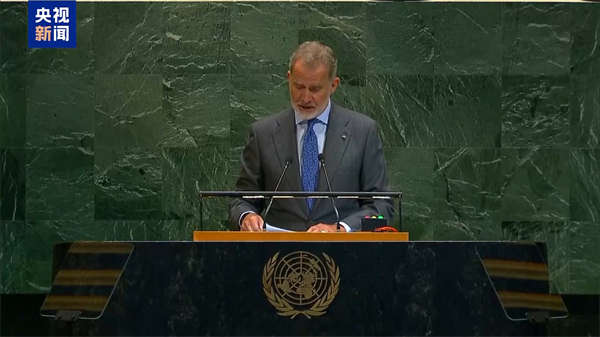 多国在联大呼吁加沙永久停火落实“两国方案”