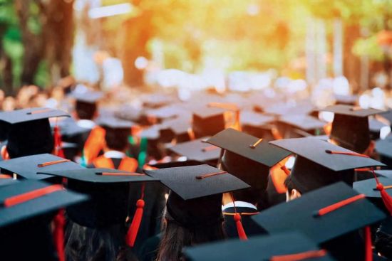 16个专业，为何被“砍掉”？