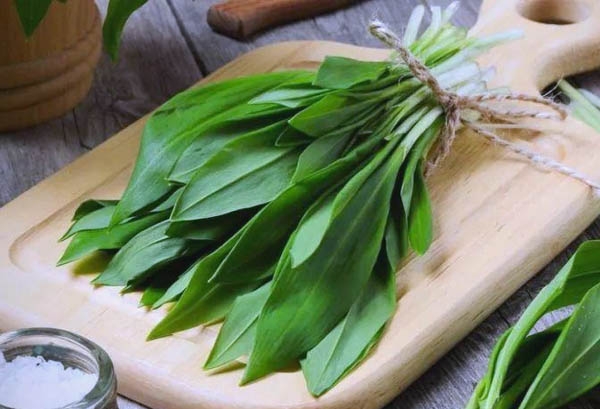 华人注意！奥地利采野韭菜包饺子可能被罚上万欧元，这些区域千万别碰