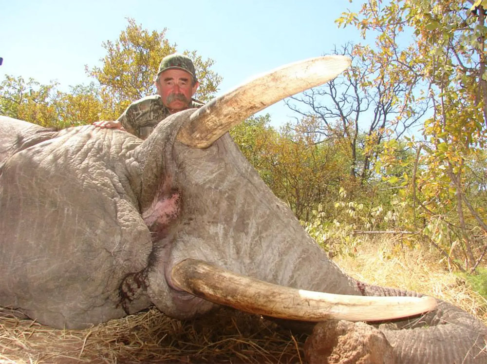 斥巨资非洲打猎，美国富豪遭5头大象踩踏身亡