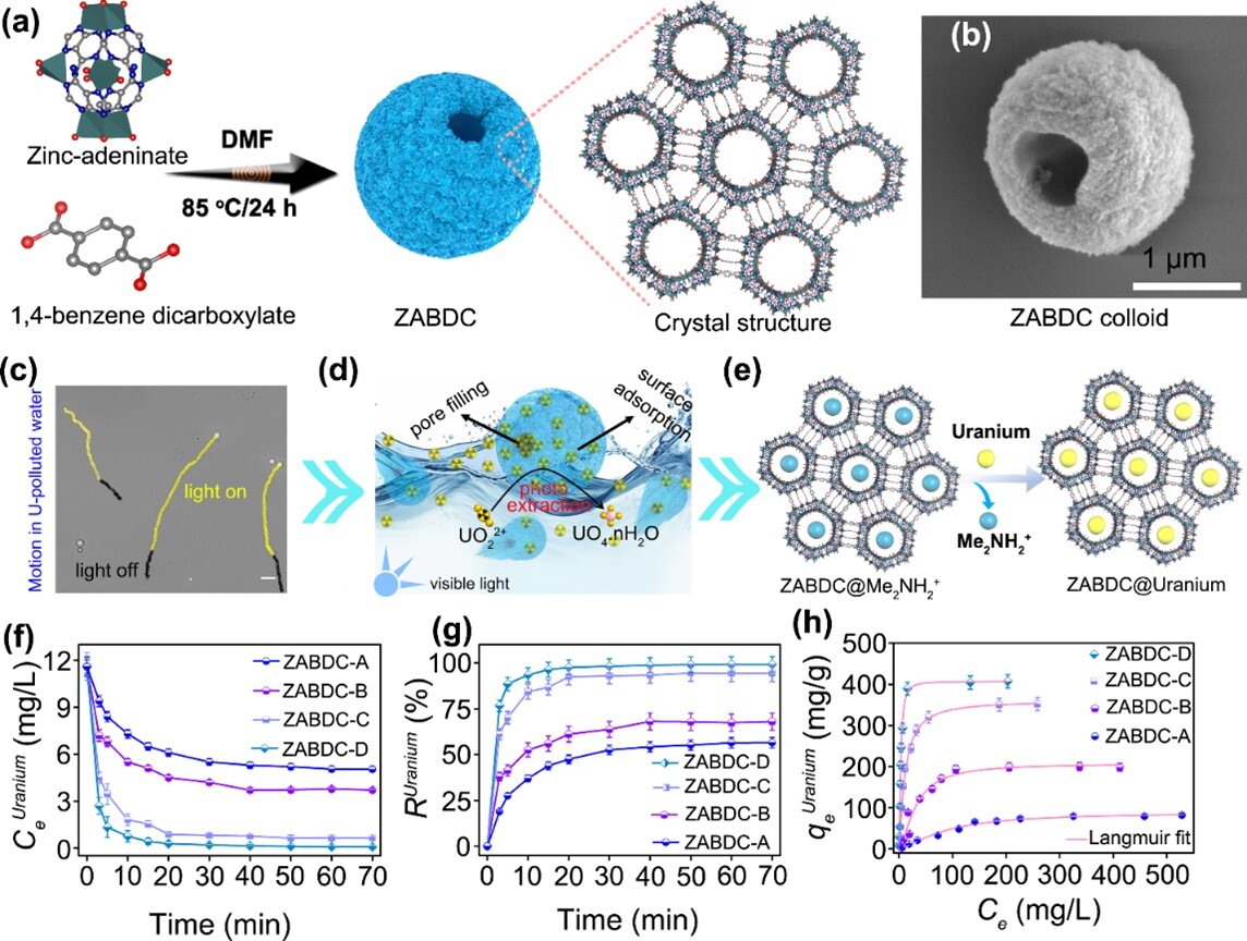 像捕食者！中国研发出可自主游动“寻铀”材料