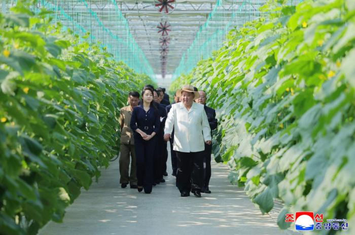 金正恩携女儿视察温室农场